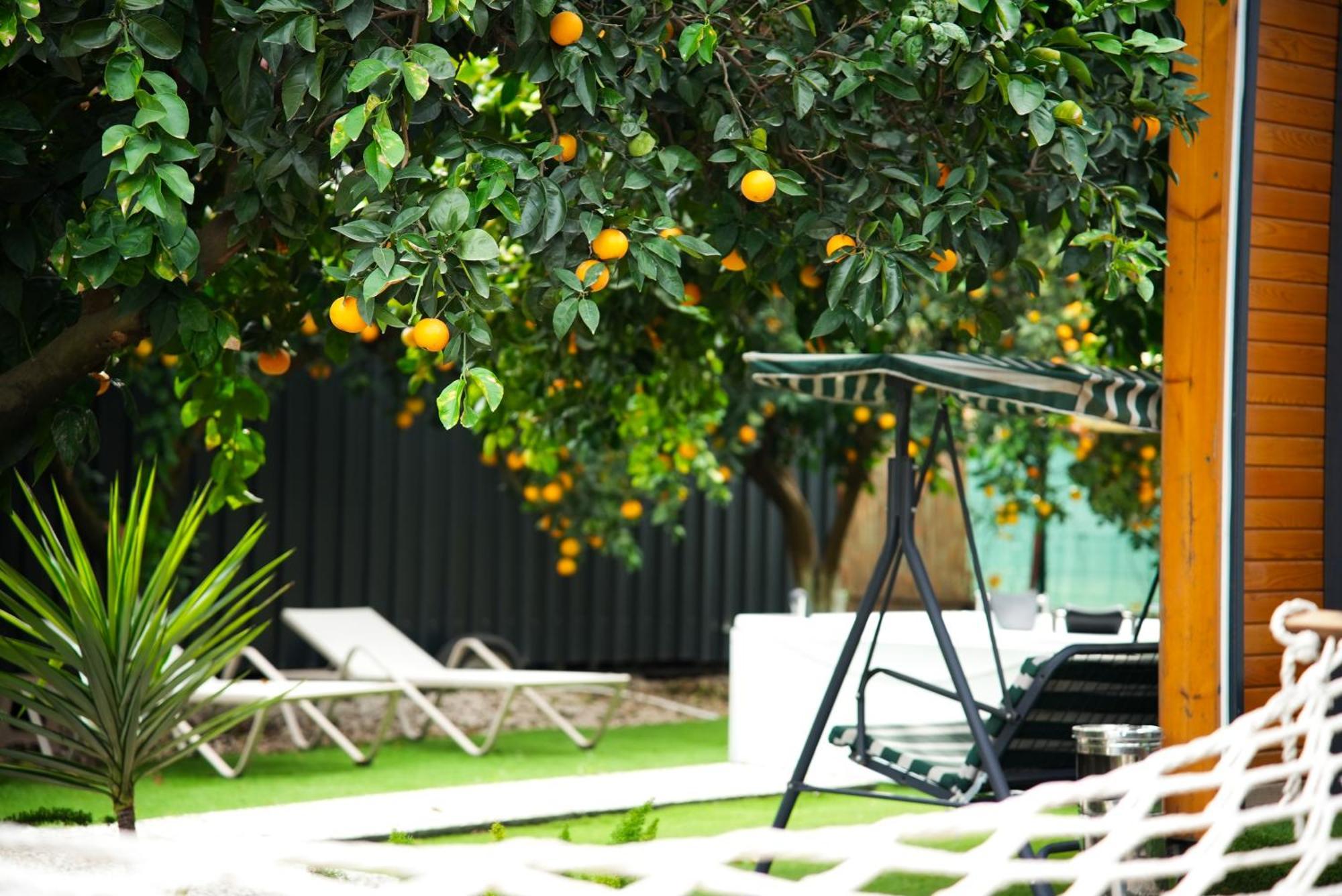Collesium Garden Apart Otel Antalya