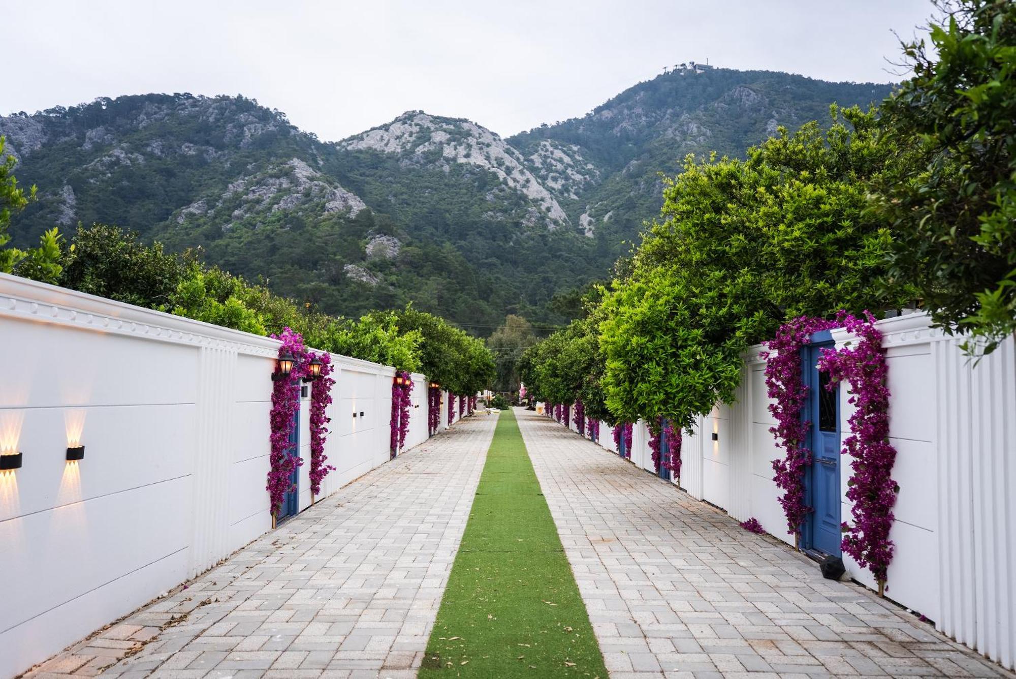 Collesium Garden